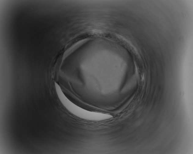 X0000087541348200705181041