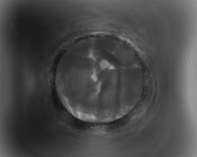 X0000087541351200705181041