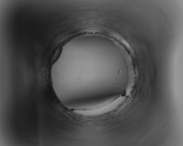 X0000087541352200705181041