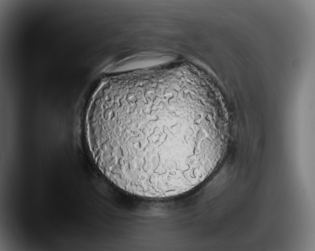 X0000087541355200705181041