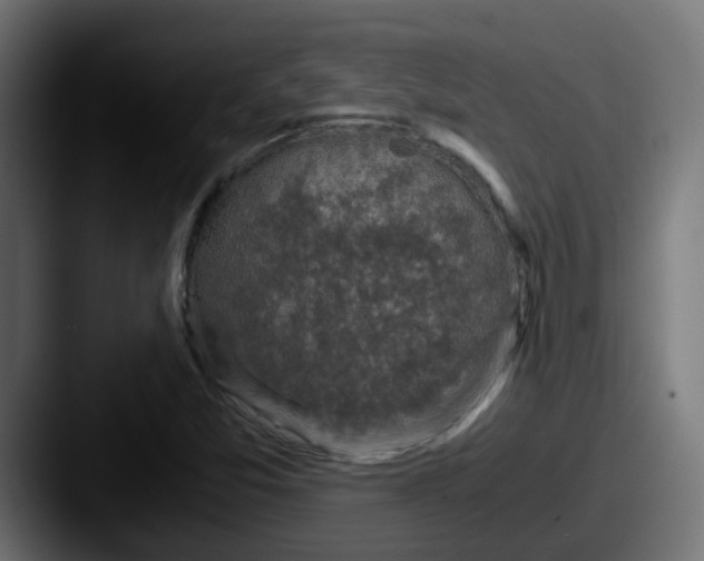 X0000087541357200705181041