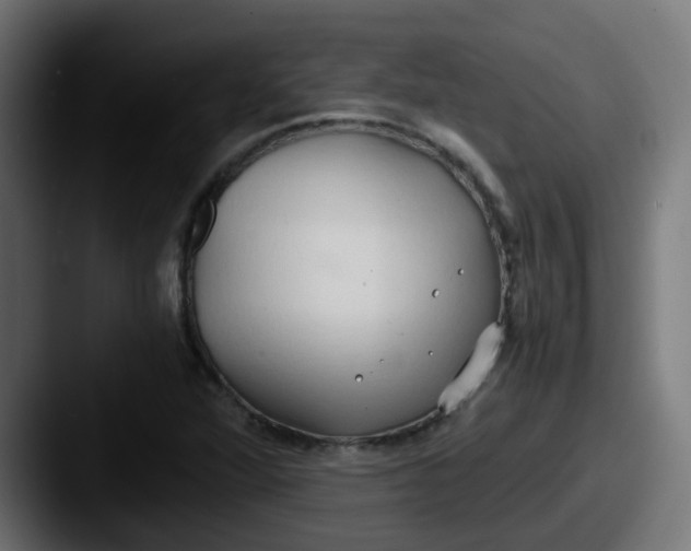 X0000087541360200705181041