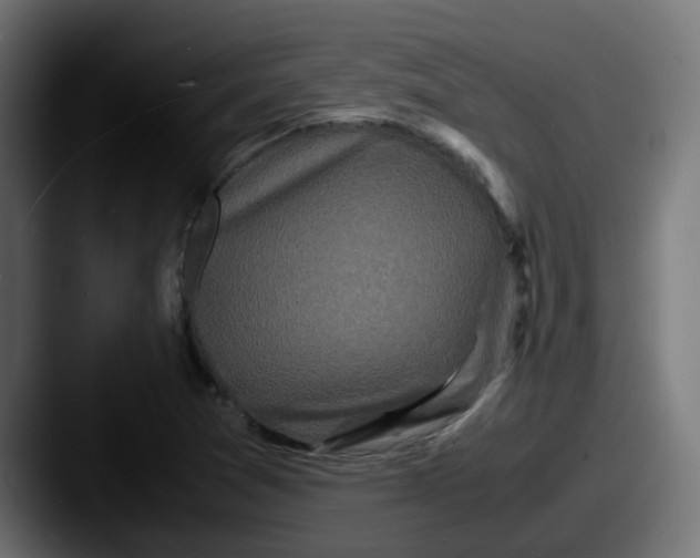 X0000087541361200705181041