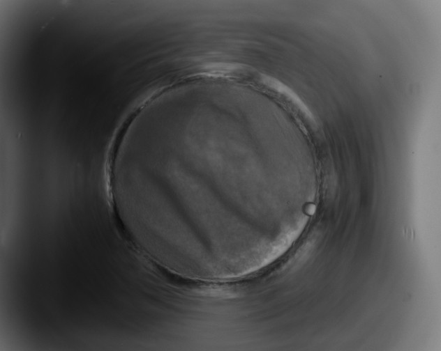 X0000087541362200705181041