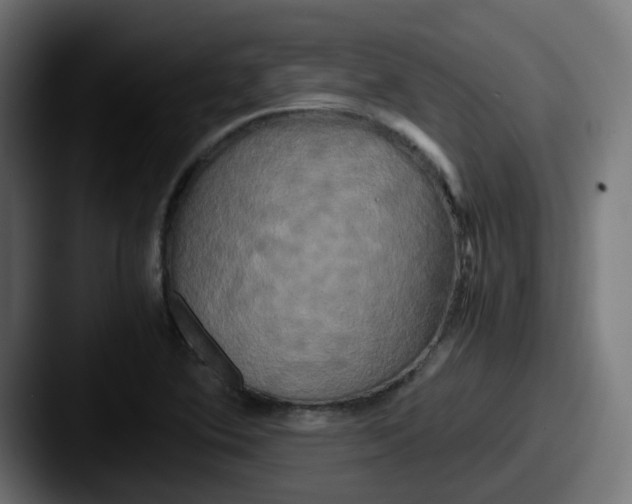 X0000087541364200705181041