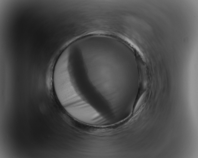 X0000087541367200705181041