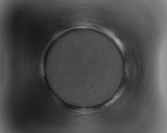 X0000087541368200705181041