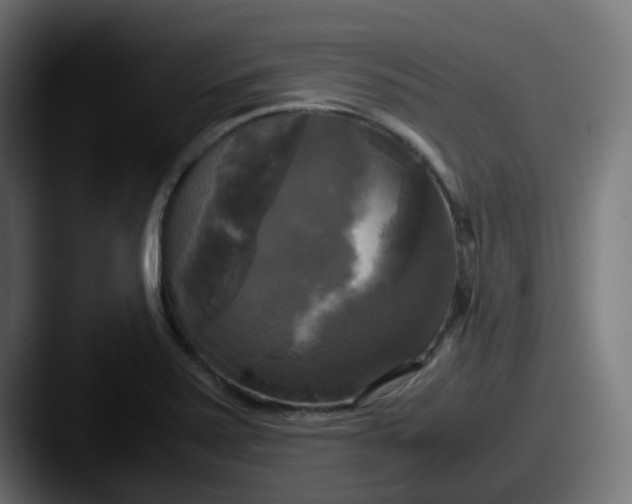 X0000087541371200705181041