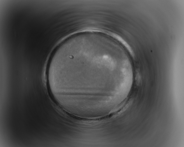 X0000087541372200705181041