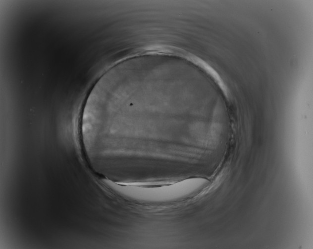 X0000087541373200705181041