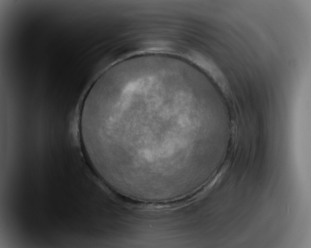 X0000087541374200705181041