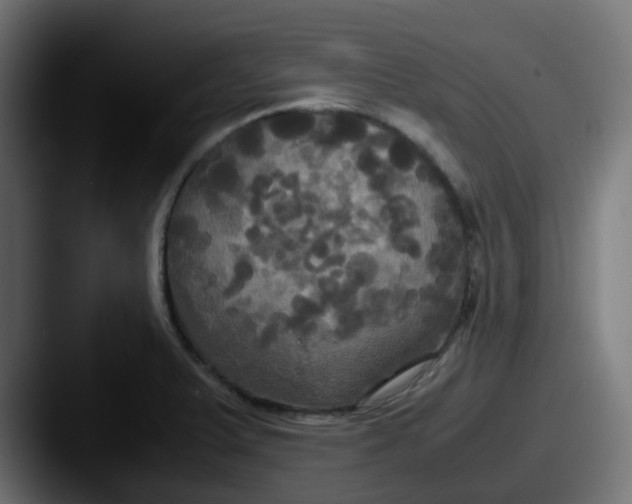 X0000087541375200705181041