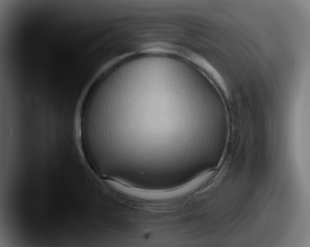 X0000087541376200705181041