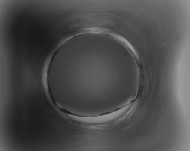 X0000087541381200705181041