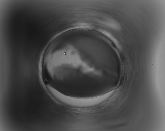 X0000087541383200705181041