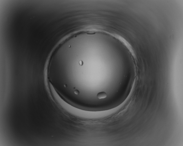 X0000087541384200705181041