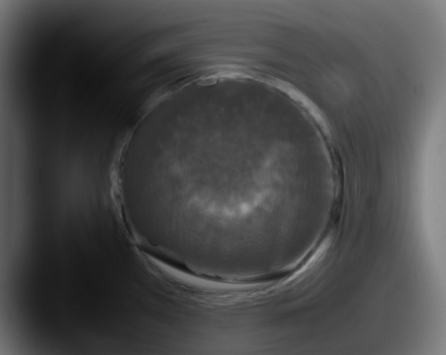 X0000087541385200705181041