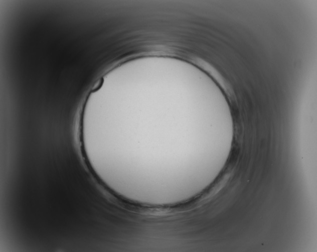 X0000087541387200705181040