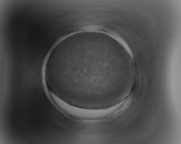 X0000087541389200705181040