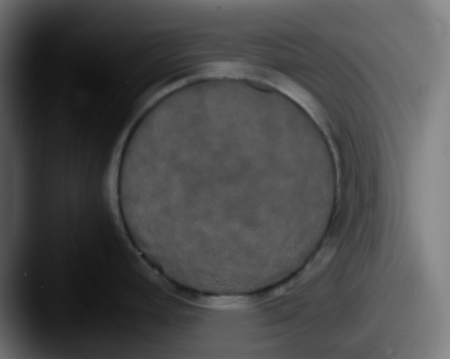 X0000087541392200705181040