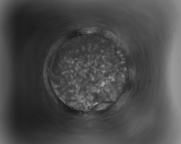 X0000087541393200705181040