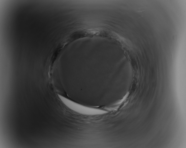 X0000087541394200705181040