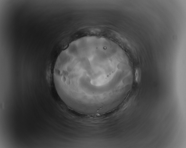 X0000087541395200705181040