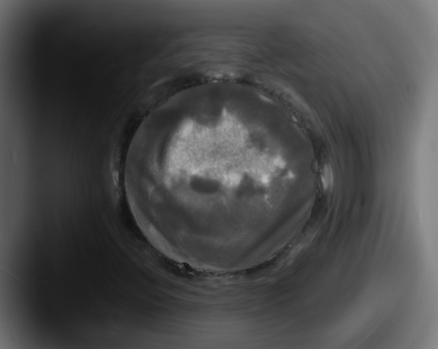 X0000087541396200705181040