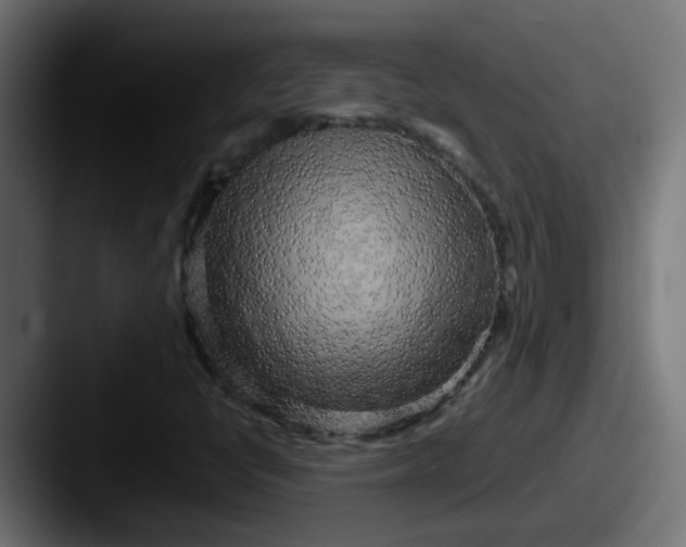 X0000087541398200705181040