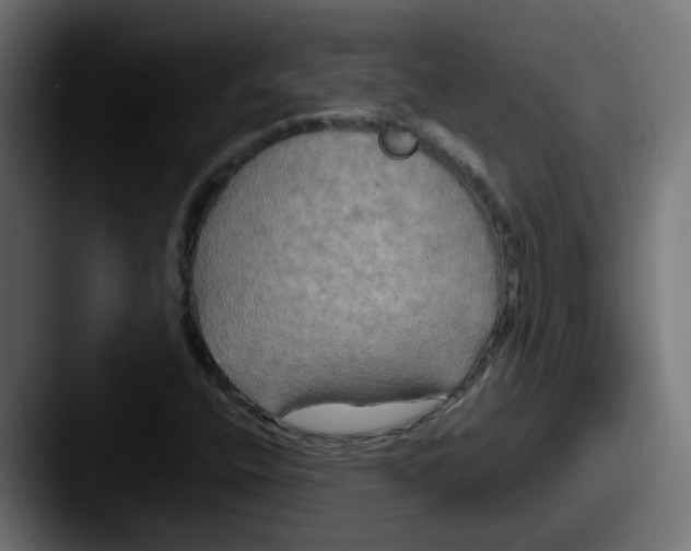 X0000087541400200705181040