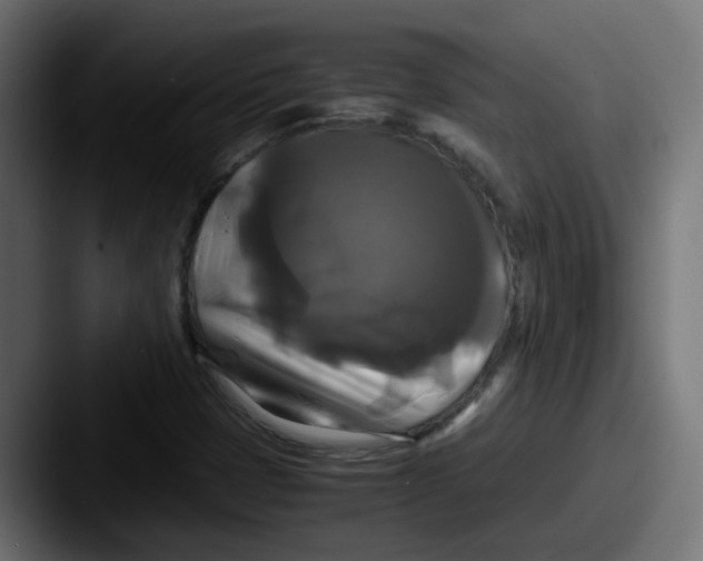 X0000087541401200705181040