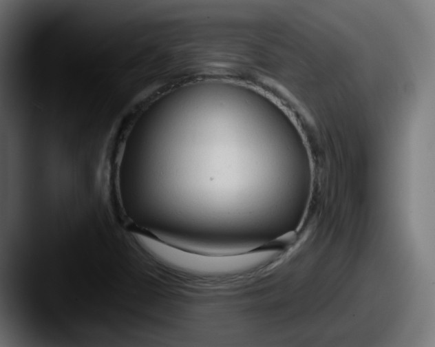 X0000087541402200705181040