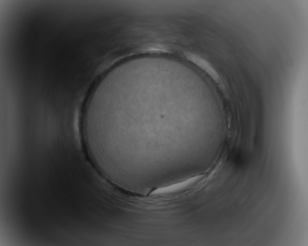 X0000087541404200705181040