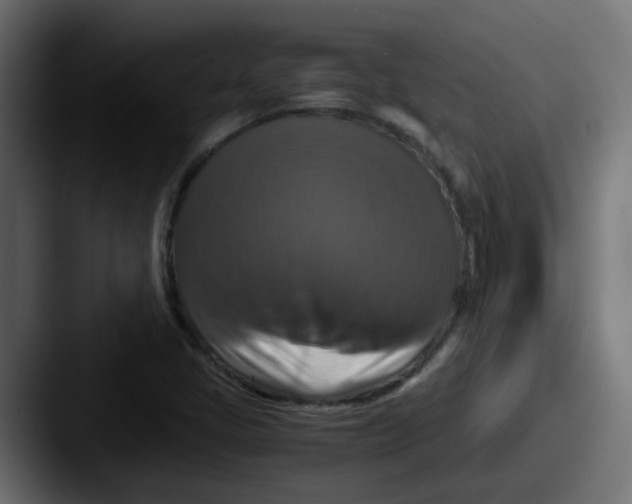 X0000087541405200705181040