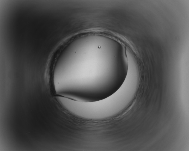 X0000087541406200705181040