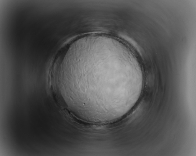 X0000087541407200705181040