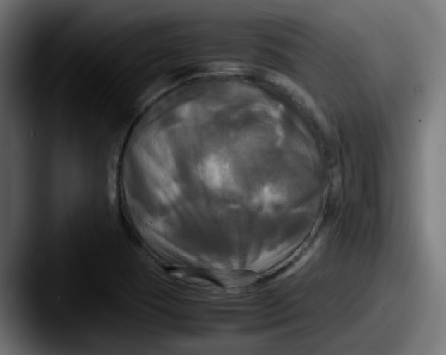 X0000087541409200705181040