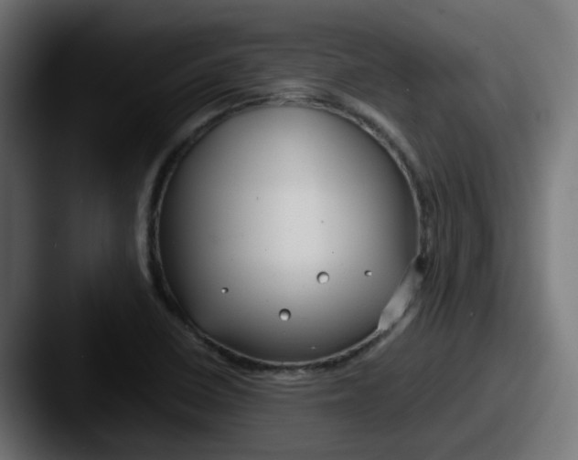 X0000087541410200705181040