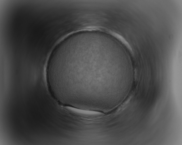 X0000087541412200705181040