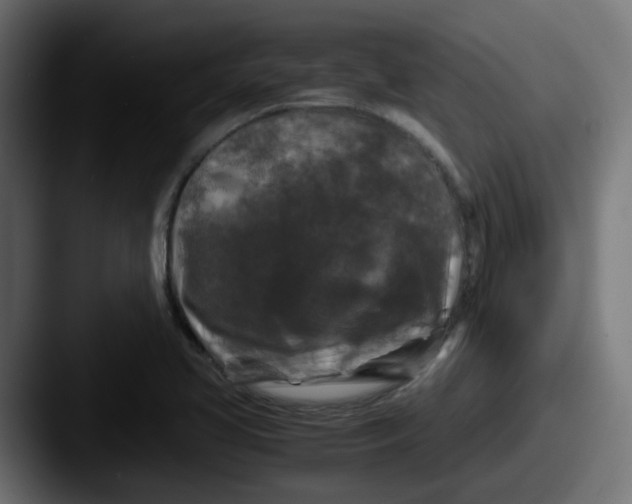 X0000087541413200705181040