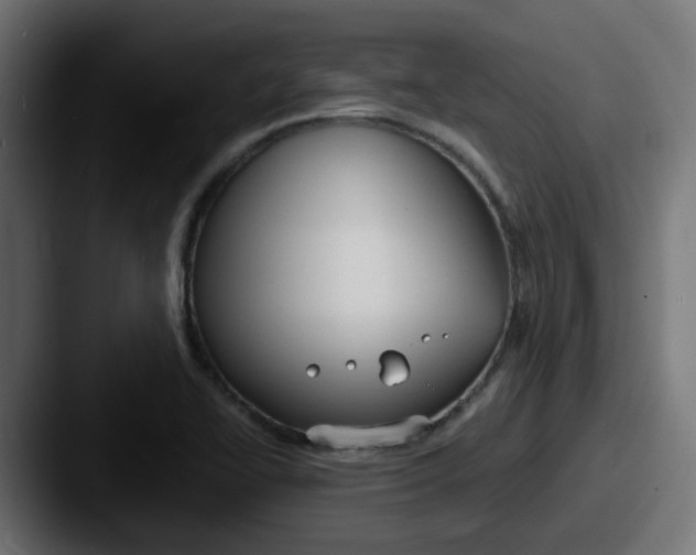 X0000087541414200705181040