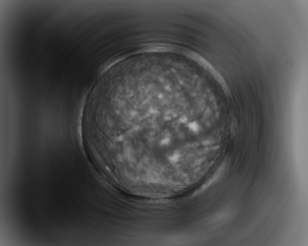 X0000087541417200705181040