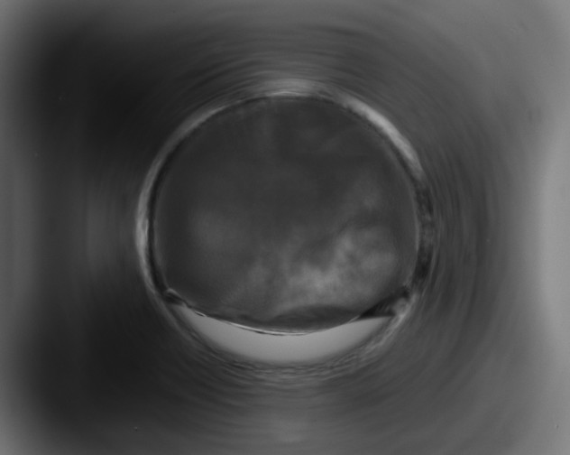 X0000087541418200705181040