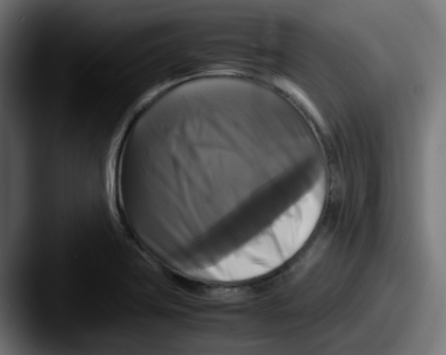 X0000087541419200705181040