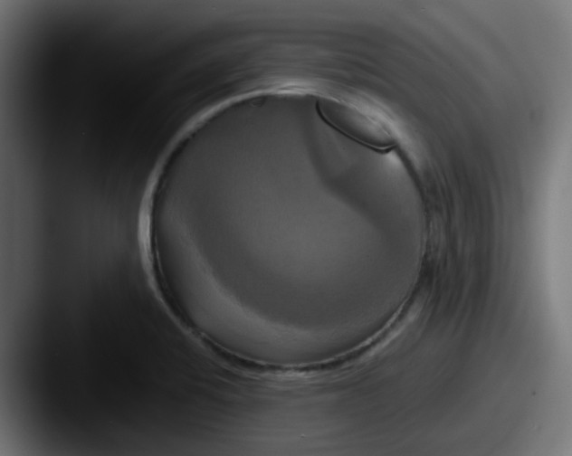 X0000087541424200705181040