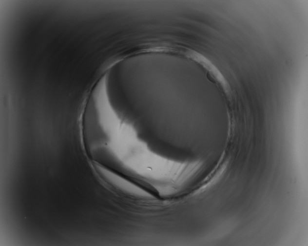 X0000087541425200705181040