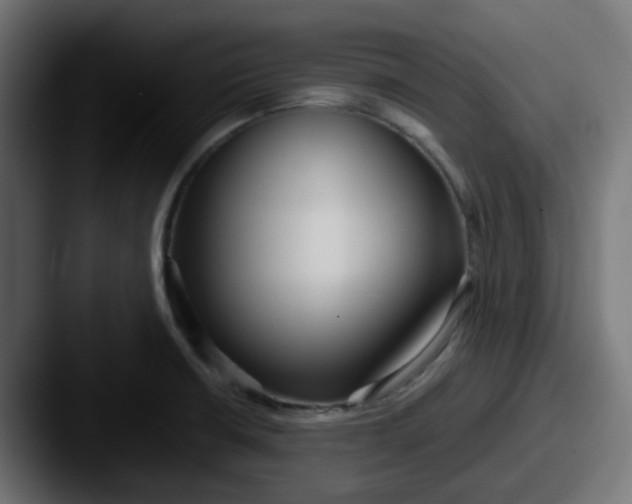 X0000087541426200705181040