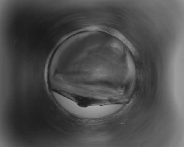 X0000087541428200705181040