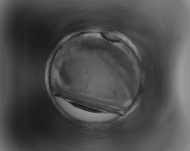 X0000087541429200705181040