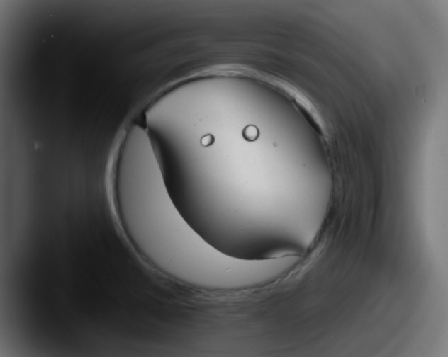 X0000087541430200705181040